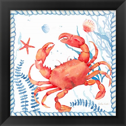 Framed Nautical Sea Life I-Crab Print