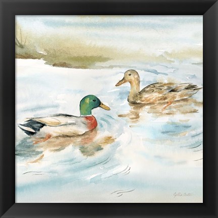 Framed Woodland Reflections V-Mallards Print