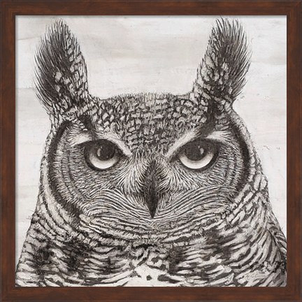 Framed Portrait of an Owl Print