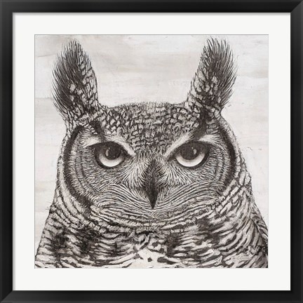 Framed Portrait of an Owl Print