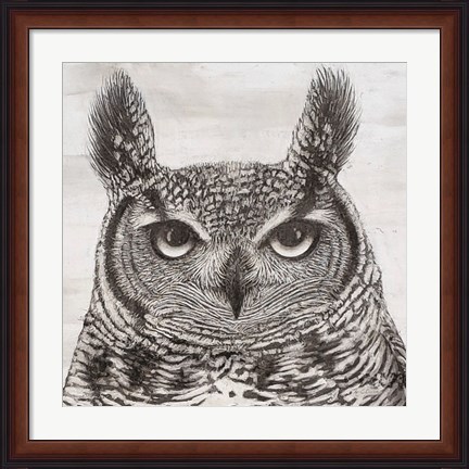 Framed Portrait of an Owl Print