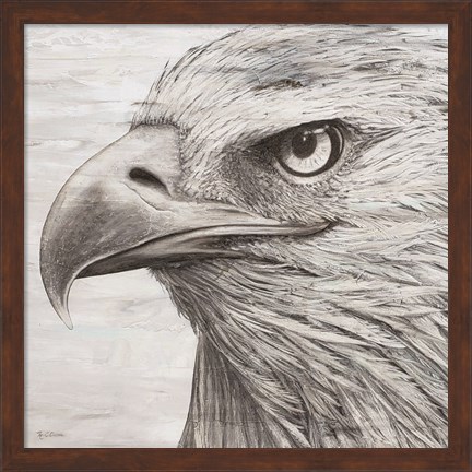 Framed Portrait of an Eagle Print