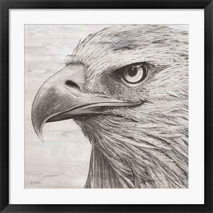 Framed Portrait of an Eagle Print