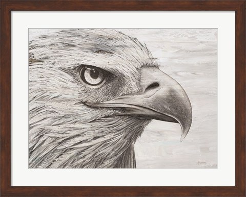 Framed Eagle landscape Print