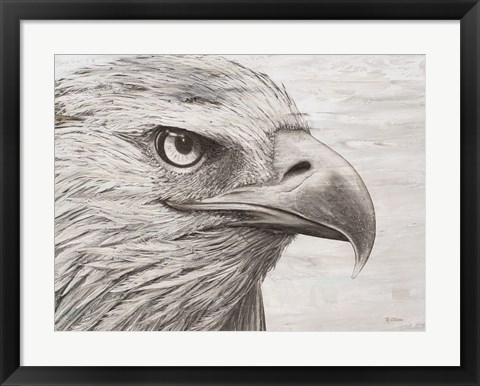 Framed Eagle landscape Print