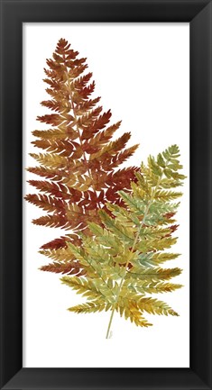 Framed Fall Inspiration panel II Print