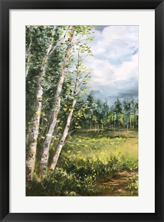 Framed Colorado Meadow panel I Print