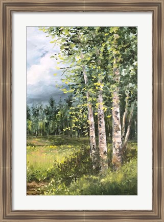 Framed Colorado Meadow panel II Print