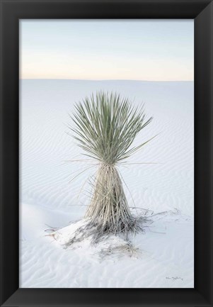 Framed Yucca in White Sands National Monument Print