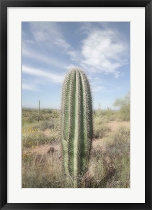 Framed Saguaro Print