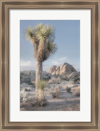 Framed Joshua Tree National Park I Print