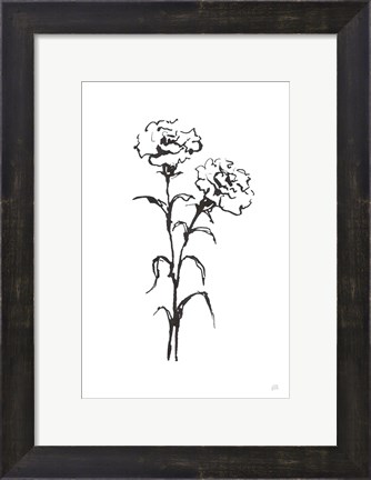 Framed Line Carnation II Print
