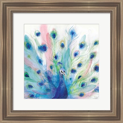 Framed Peacock Glory IV Print