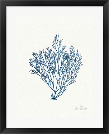 Framed Sea Garden II Royal Blue Print