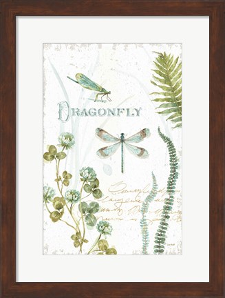 Framed My Greenhouse Botanical Dragonfly Print