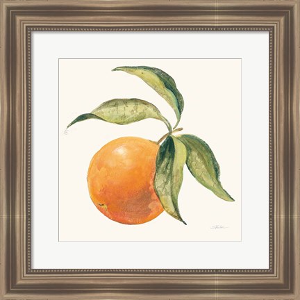 Framed Le Orange on Cream Print