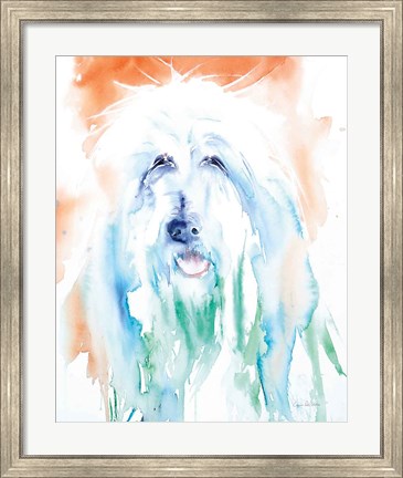 Framed Sheep Dog Print