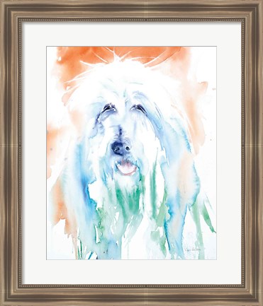 Framed Sheep Dog Print