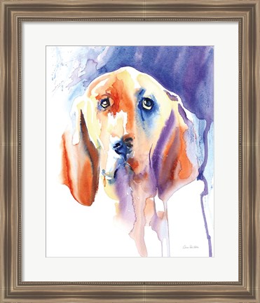 Framed Basset Hound Print