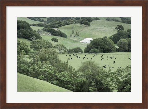 Framed Marin California Ranch Print