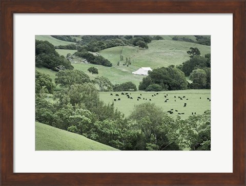 Framed Marin California Ranch Print