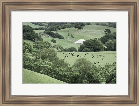 Framed Marin California Ranch Print