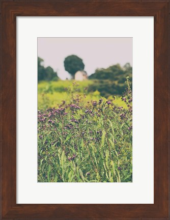 Framed Roadside Flowers Print