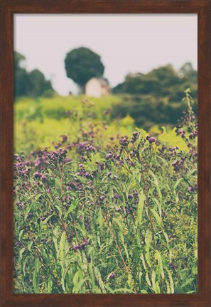 Framed Roadside Flowers Print