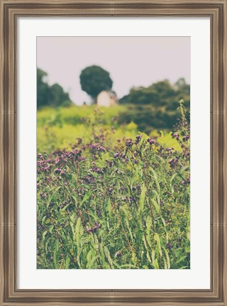 Framed Roadside Flowers Print