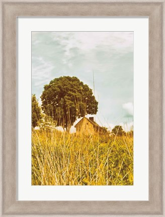 Framed Grass and Sky Print