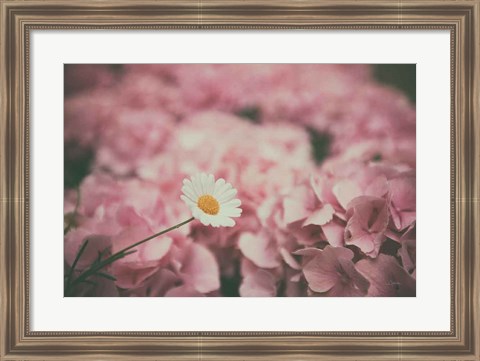 Framed Daisy Dreams Print