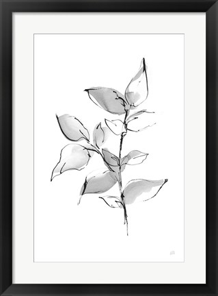 Framed Wash Leaf II Print