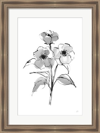 Framed Wash Poppy II Print