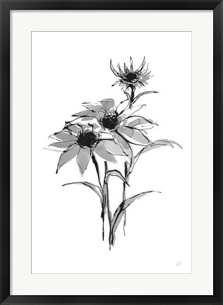 Framed Wash Echinacea I Print