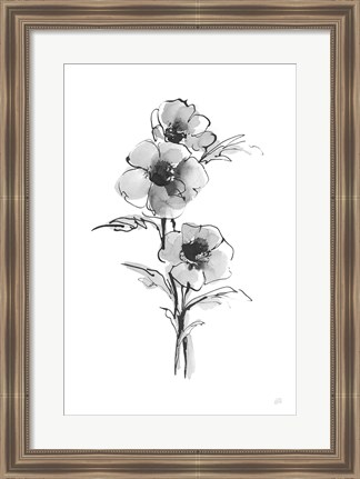 Framed Wash Anemone II Print