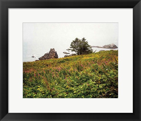 Framed Oregon Coast Print