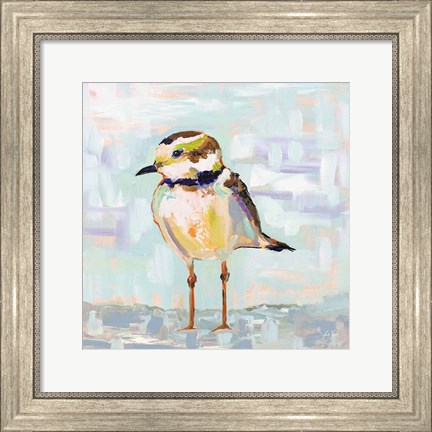 Framed Coastal Plover II Neutral Print