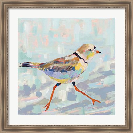 Framed Coastal Plover I Neutral Print