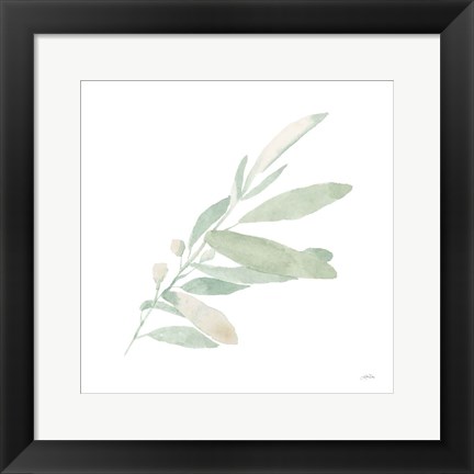 Framed Sage I Print