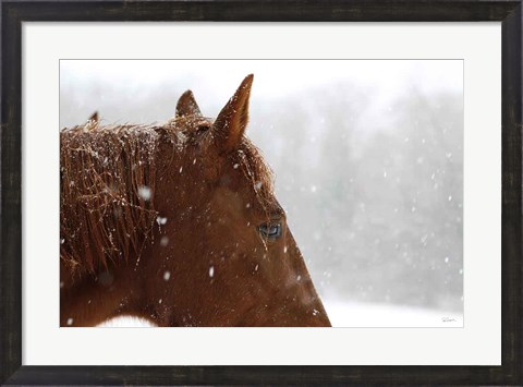 Framed Snowy Caleb Print