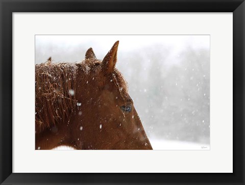 Framed Snowy Caleb Print