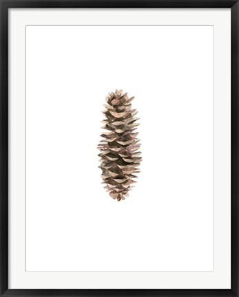 Framed Pine Cone I Print