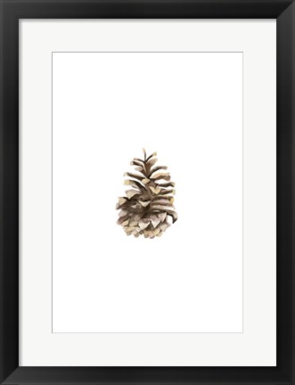 Framed Pine Cone II Print