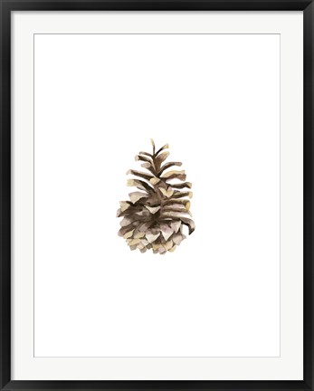 Framed Pine Cone II Print