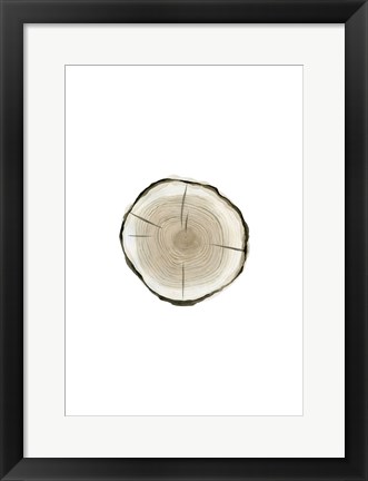 Framed Tree Slice I Print