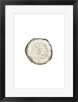 Framed Tree Slice II Print