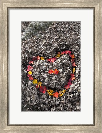 Framed Love in the Leaves Print