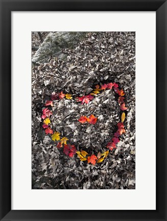 Framed Love in the Leaves Print