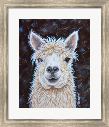 Framed Alpaca Print