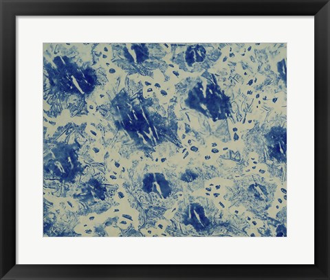 Framed Textures in Blue VI Print